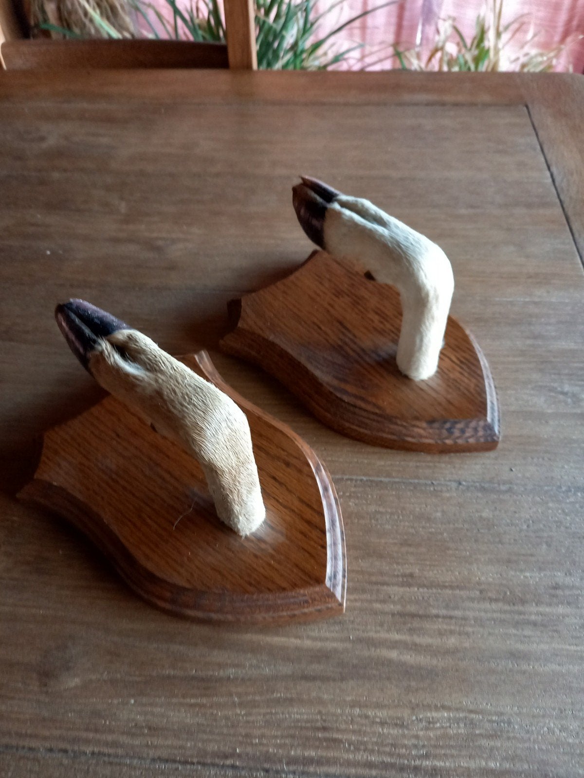 2 kapstokken, Antiek en Kunst, Ophalen