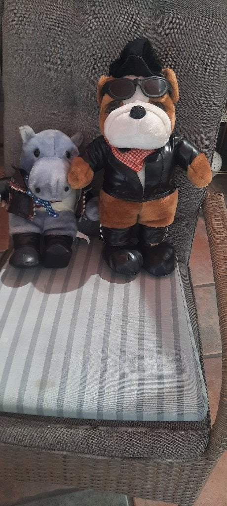beer als mascotte , op uw  motor, Motoren, Ophalen, Gebruikt, 2920 kalmthout, Frank.tradinglink.maurits@gmail.com
