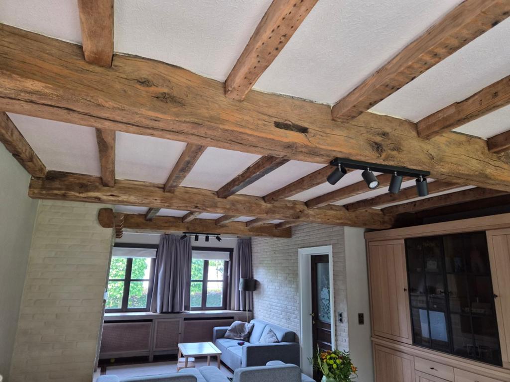 Plafond à poutres en chêne, Maison & Meubles, Maison & Meubles | Autre, Enlèvement