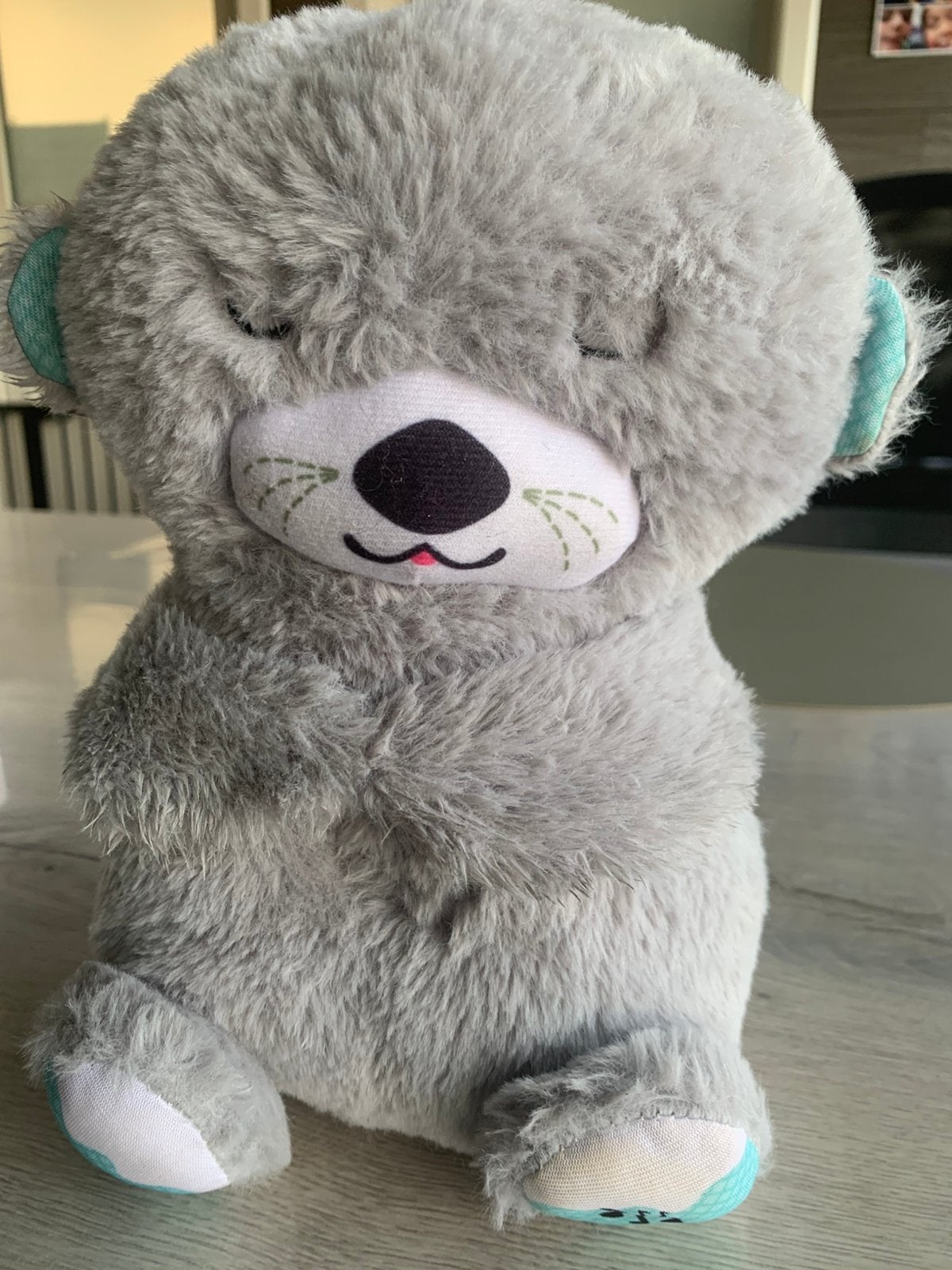 Jouet en peluche pour chiot, Enlèvement, Comme neuf