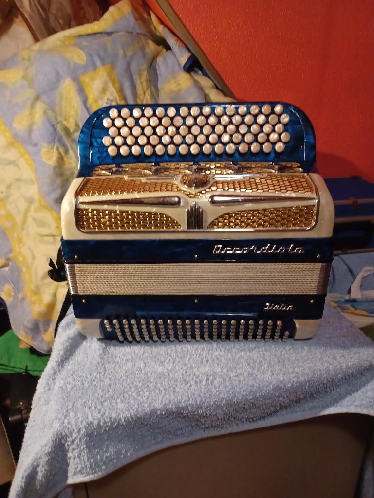 Accordéon accordiola, Musique & Instruments, Accordiola, Enlèvement, Utilisé, Avec bretelles