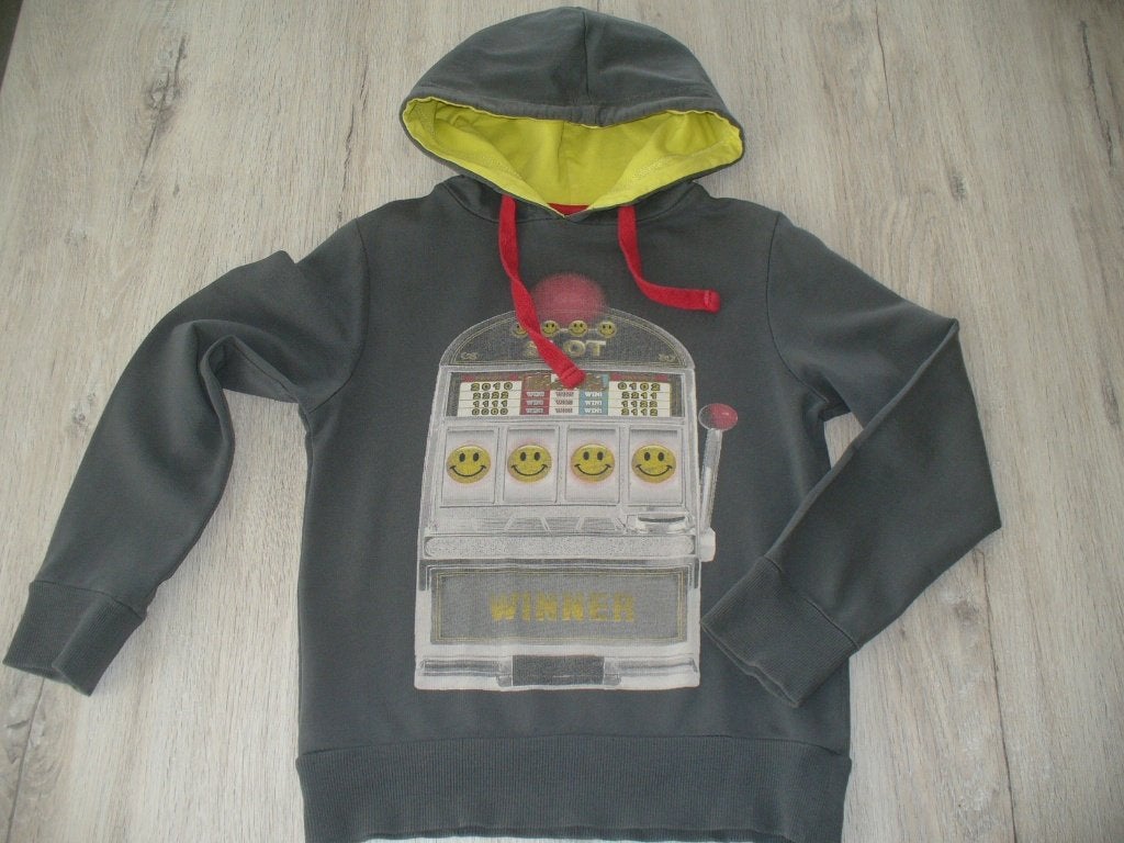 Sweater met kap maat 134, Enfants & Bébés, Enlèvement ou Envoi, Utilisé, Garçon, Pull ou Veste