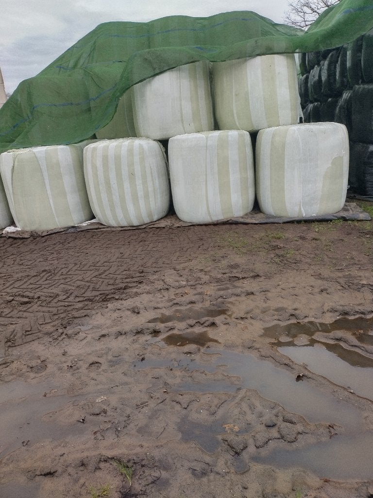 Maisbalen, Zakelijke goederen, Landbouw | Veevoer, Ophalen