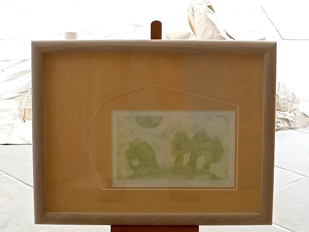ets, Antiek en Kunst, Kunst | Etsen en Gravures, Ophalen, Ets, Ingelijst