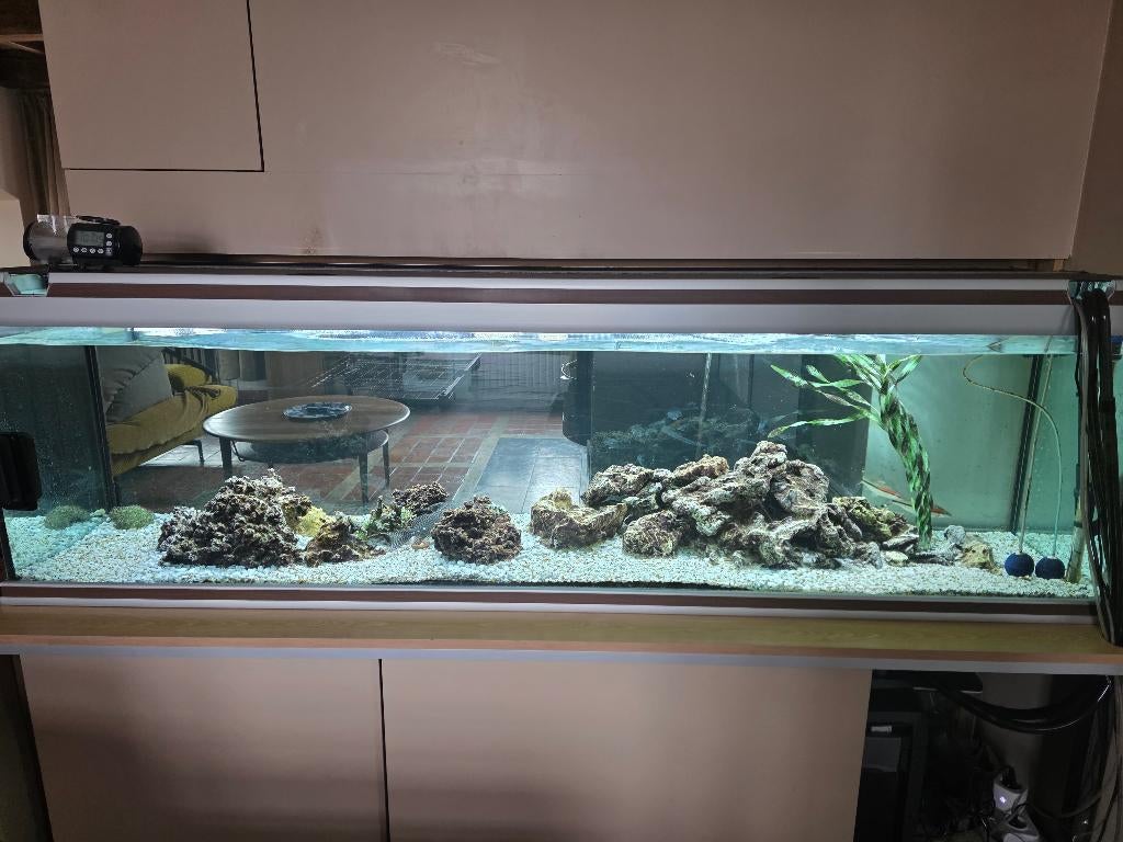 Aquarium 400 l vide, Enlèvement, Utilisé, Aquarium vide, Autres marques