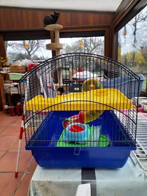 cage à hamster, Animaux & Accessoires, Neuf, Moins de 60 cm, Cage, Hamster