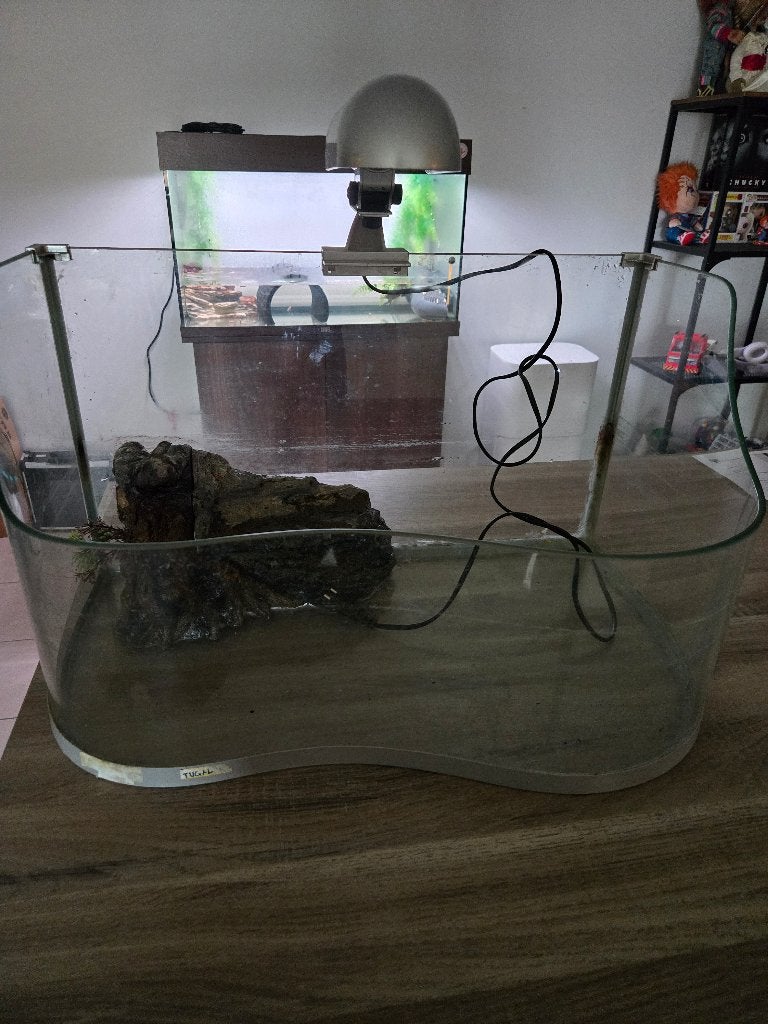 Schilpaddenbak met lamp, Animaux & Accessoires, Enlèvement, Neuf