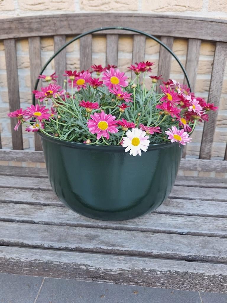 nieuwe heksenketel of bloembak leuk voor binnen en buiten, Tuin en Terras, Bloempotten, Ophalen, Rond, Nieuw, Balkon