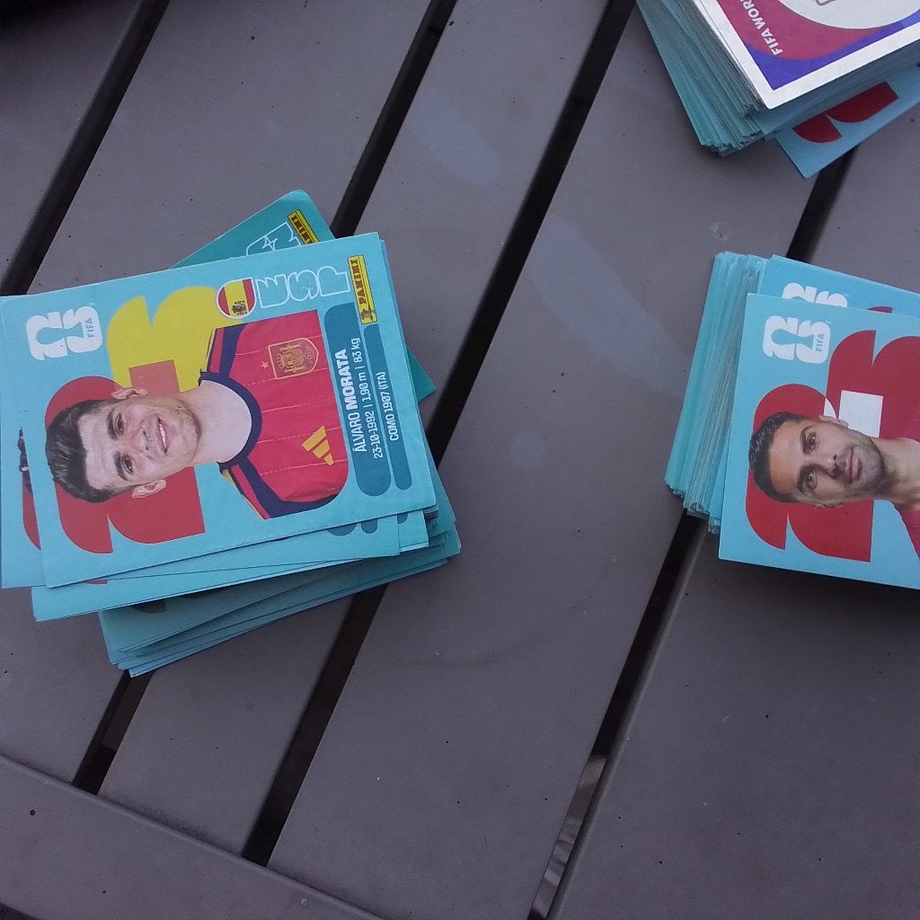 Wk panini stickers, Enlèvement ou Envoi