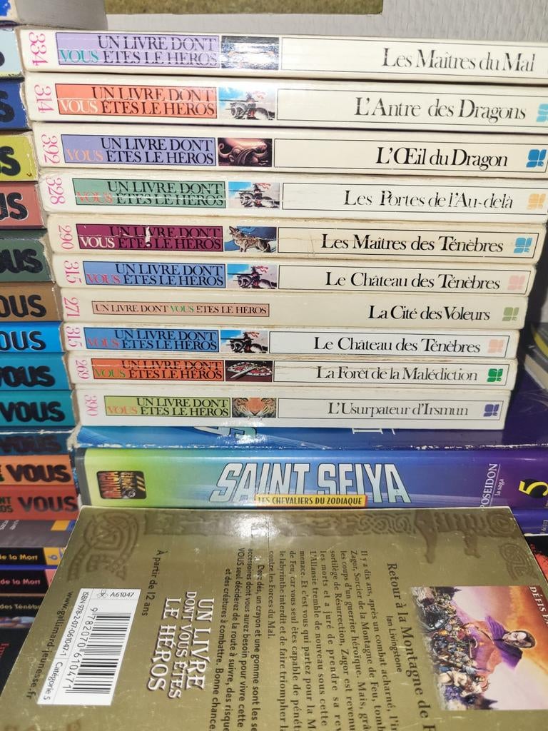 20 livre dont vous êtes le héros, Livres, Enlèvement ou Envoi
