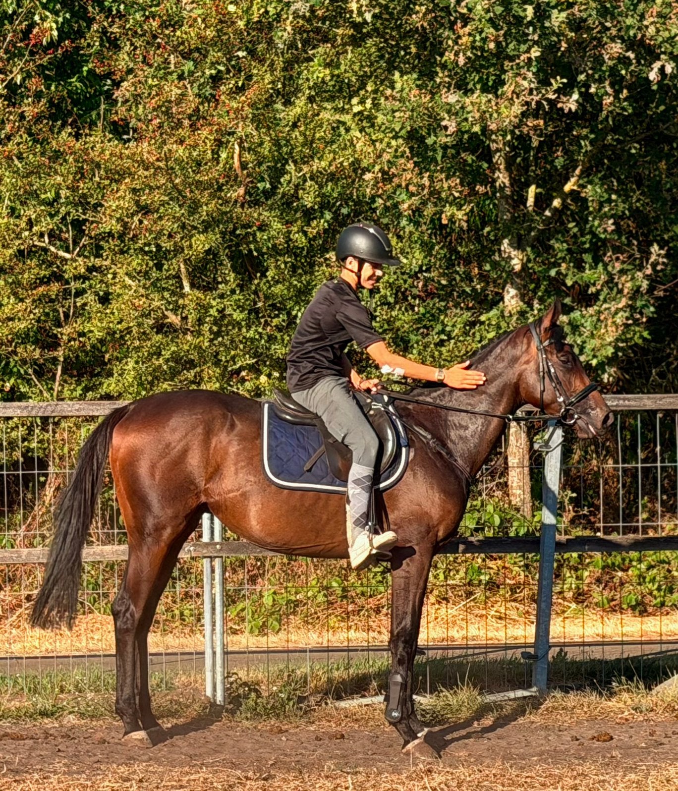 Top brave 4 jarige ruin VANDAAG OPHALEN, Dieren en Toebehoren, Paarden, Gechipt, Minder dan 160 cm, Ruin, 3 tot 6 jaar