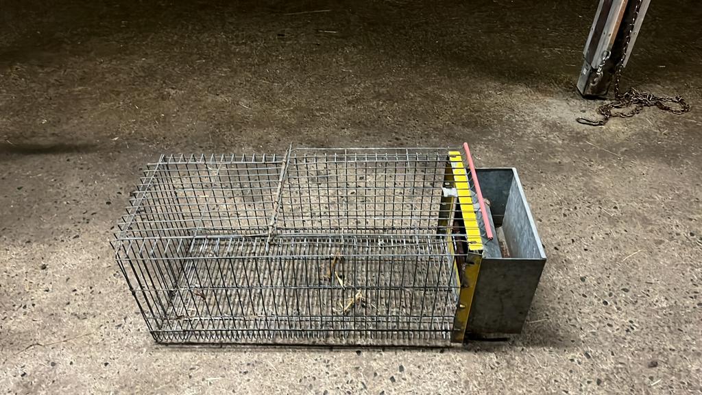 Cage à lapin, Lapin, Moins de 60 cm, 75 à 110 cm, Cage