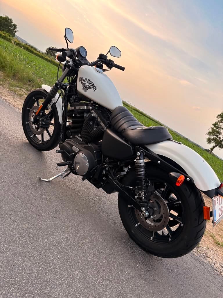 harley davidson sportster xl883, Motos, Plus de 35 kW, Chopper, 2 cylindres, Particulier