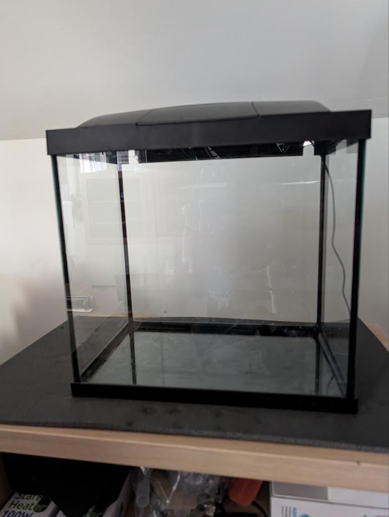 Aquarium superfish, Enlèvement, Superfish