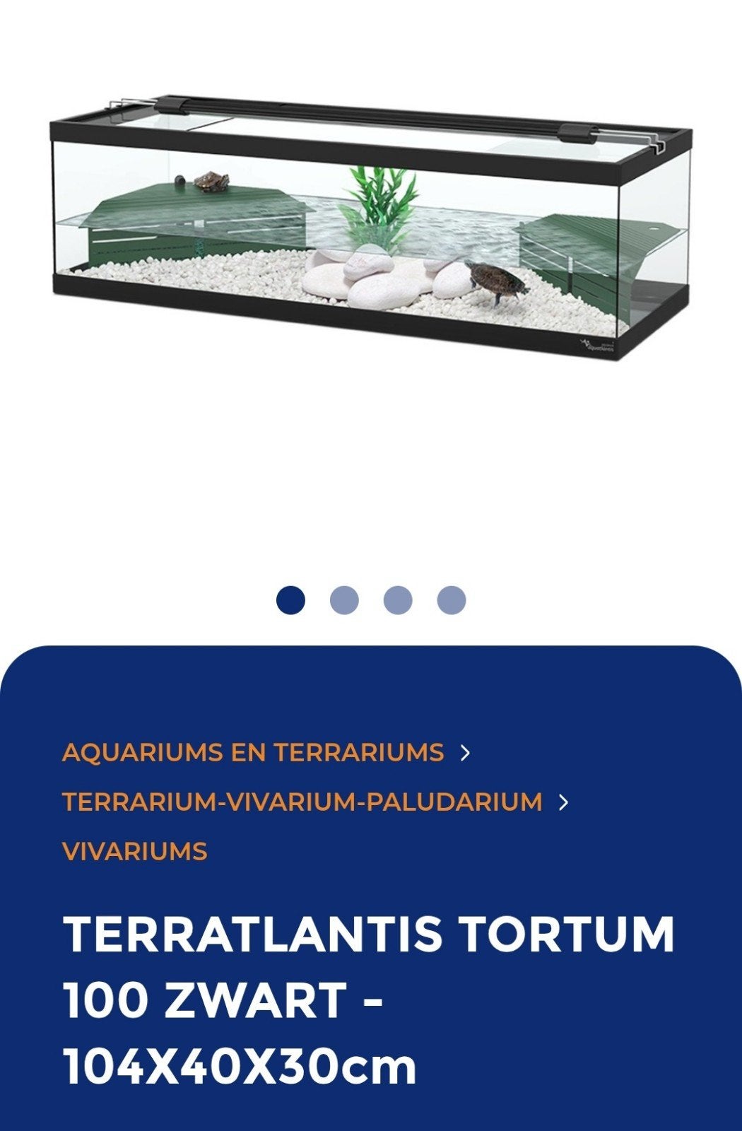 Terratlantis terrarium, Enlèvement