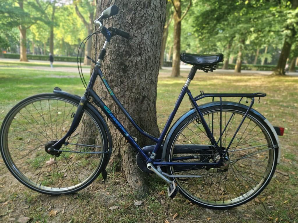 Vélo femme GAZELLE trendy 28 inch, Fietsen en Brommers, Fietsen | Dames | Damesfietsen, Ophalen, Gebruikt, Velgrem, Versnellingen