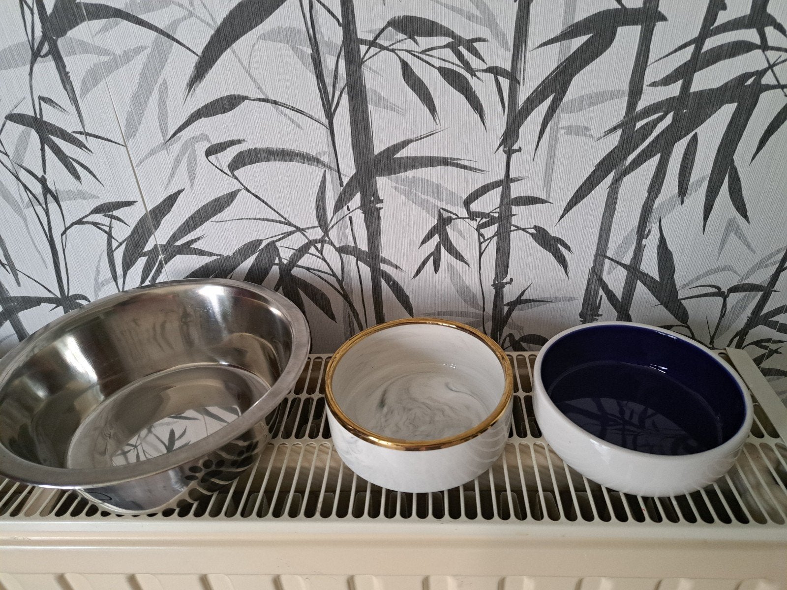 3 bols  pour chat, chien, Enlèvement ou Envoi