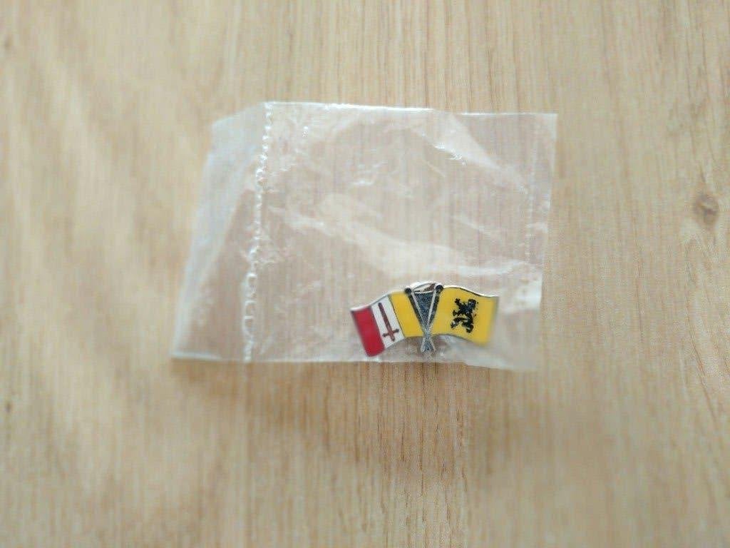 pin Vlaanderen en Aalst, Enlèvement ou Envoi, Neuf, Ville ou Campagne, Insigne ou Pin's