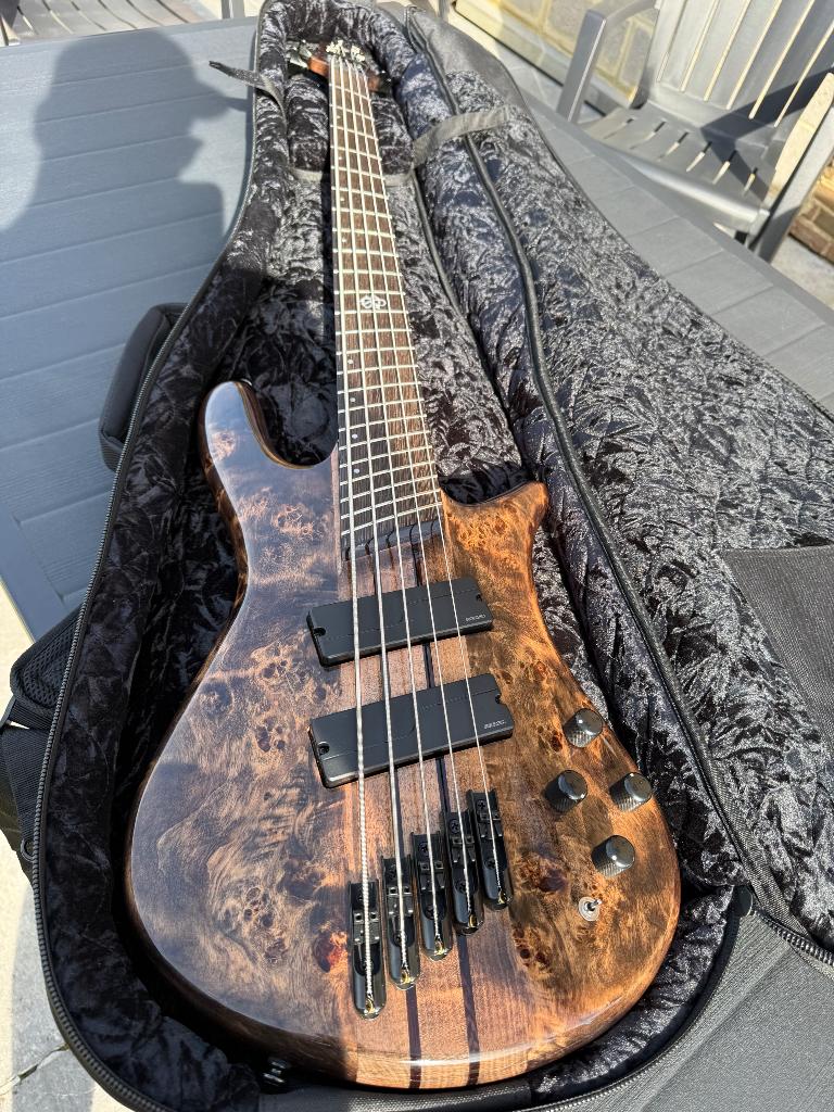 Spector NS dimension 5 cordes, Musique & Instruments, Instruments à corde | Guitares | Basses, Enlèvement, Neuf, Électrique, 5 cordes