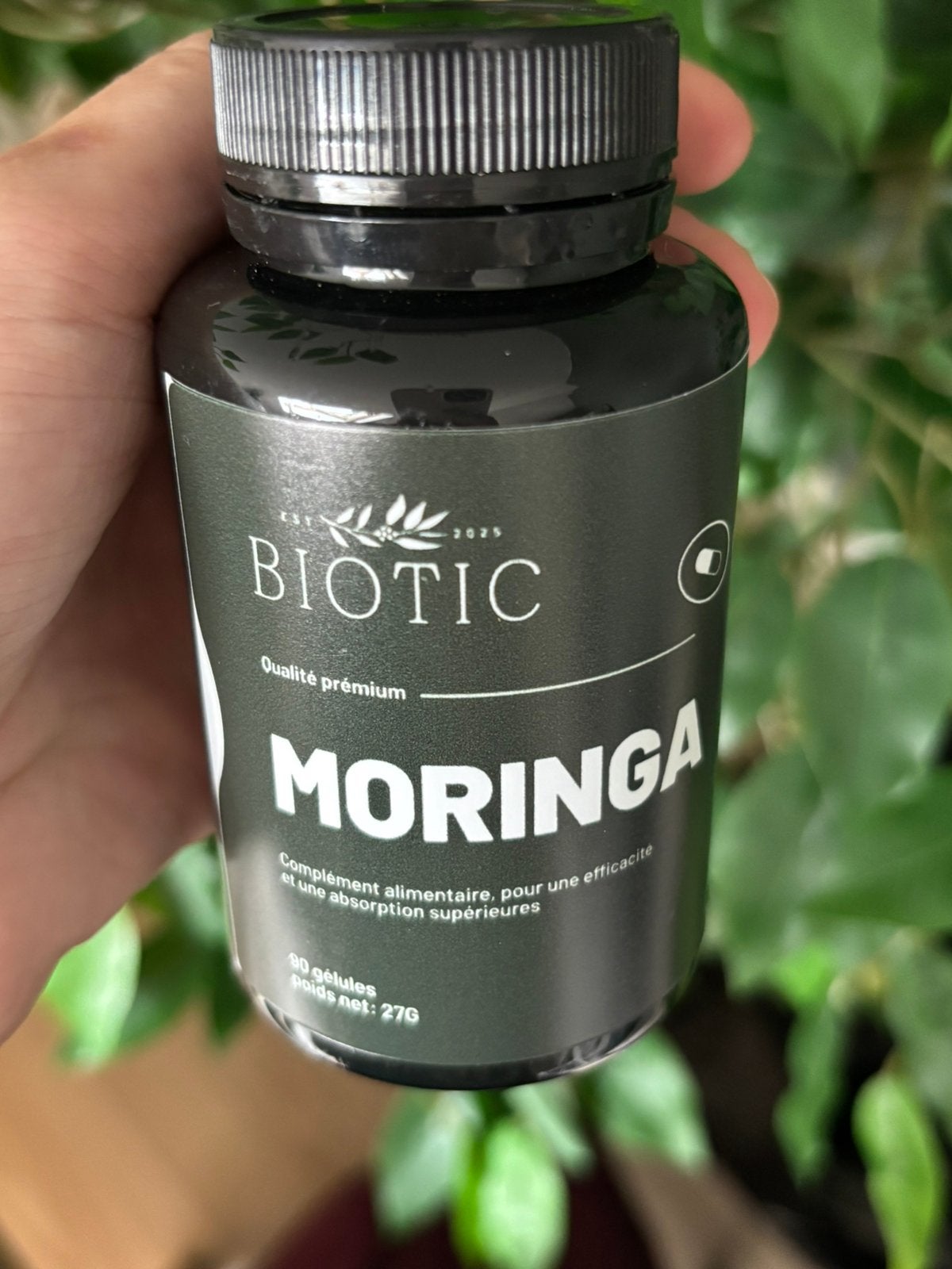 Gélules Moringa, Enlèvement ou Envoi, Neuf, Poudre ou Boisson