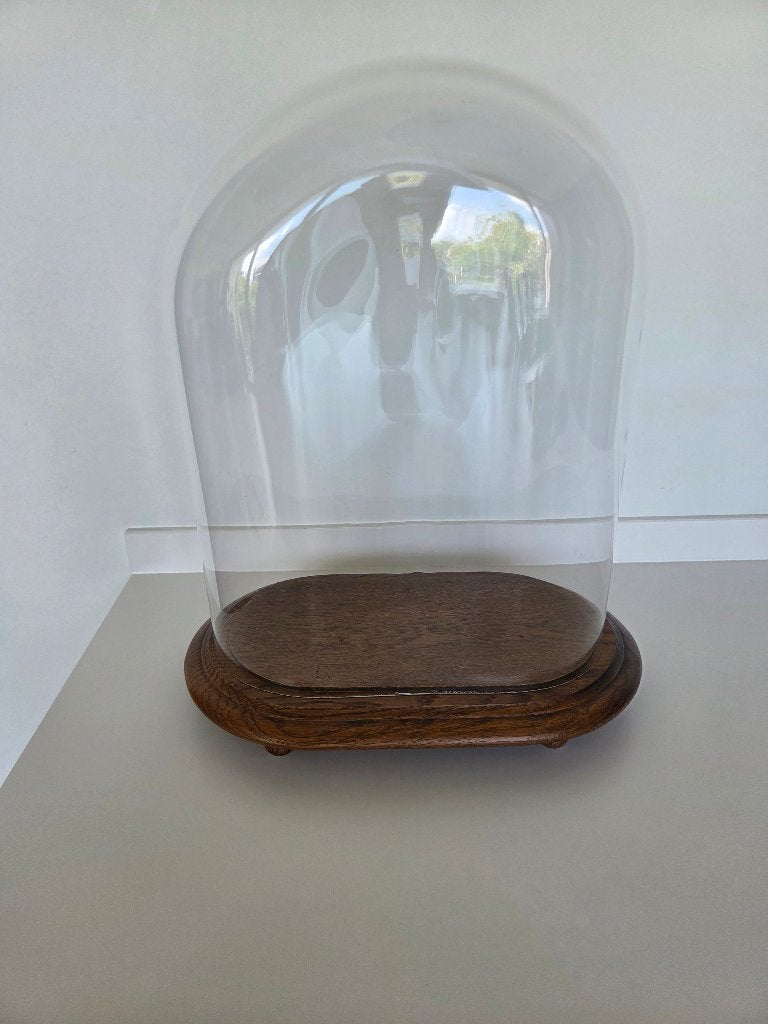 Glazen stolp, Verre, Enlèvement, Utilisé