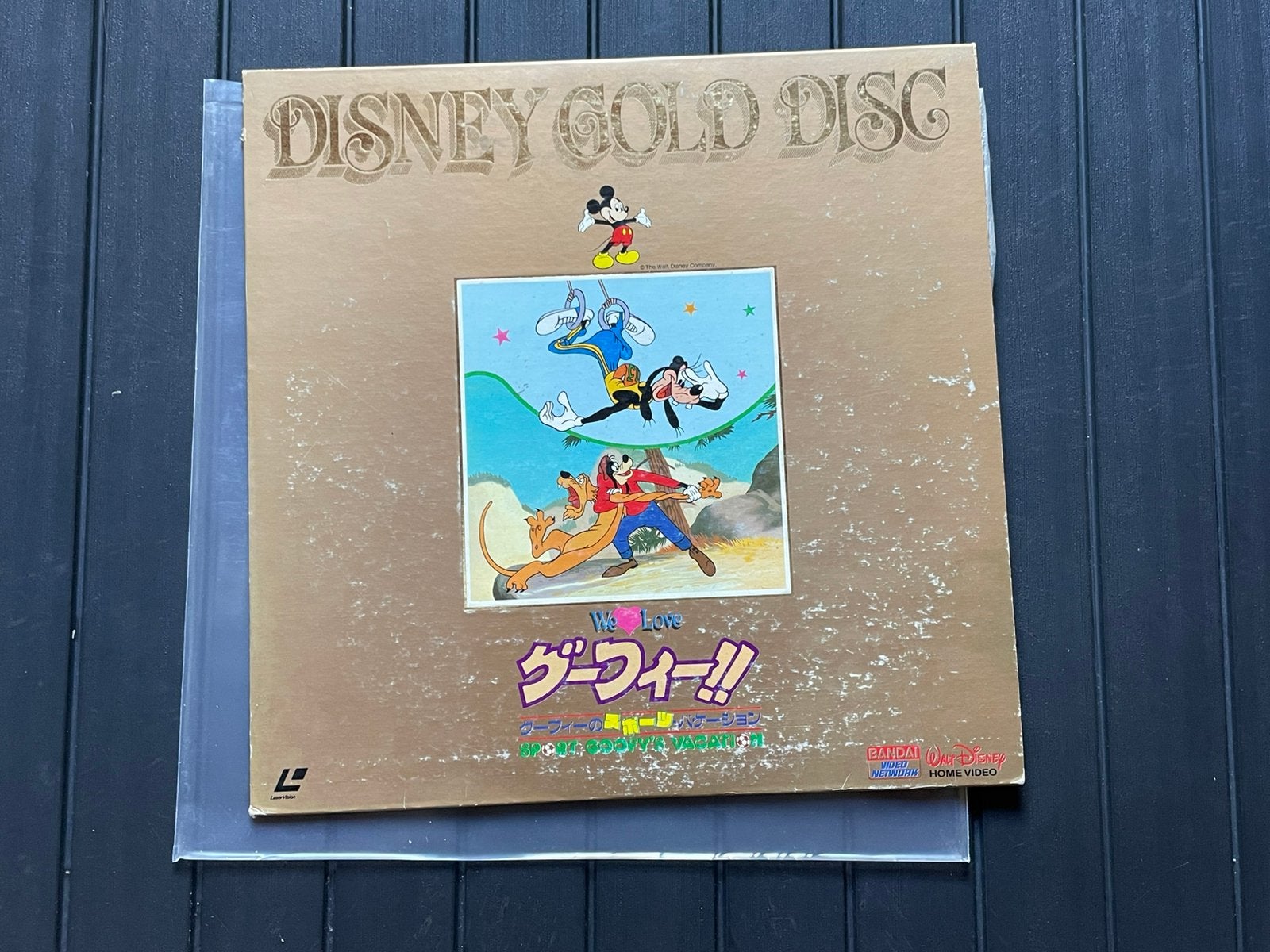 Laserdisc Sport Goofy's Vacation (1984), Enlèvement ou Envoi, Utilisé, Film