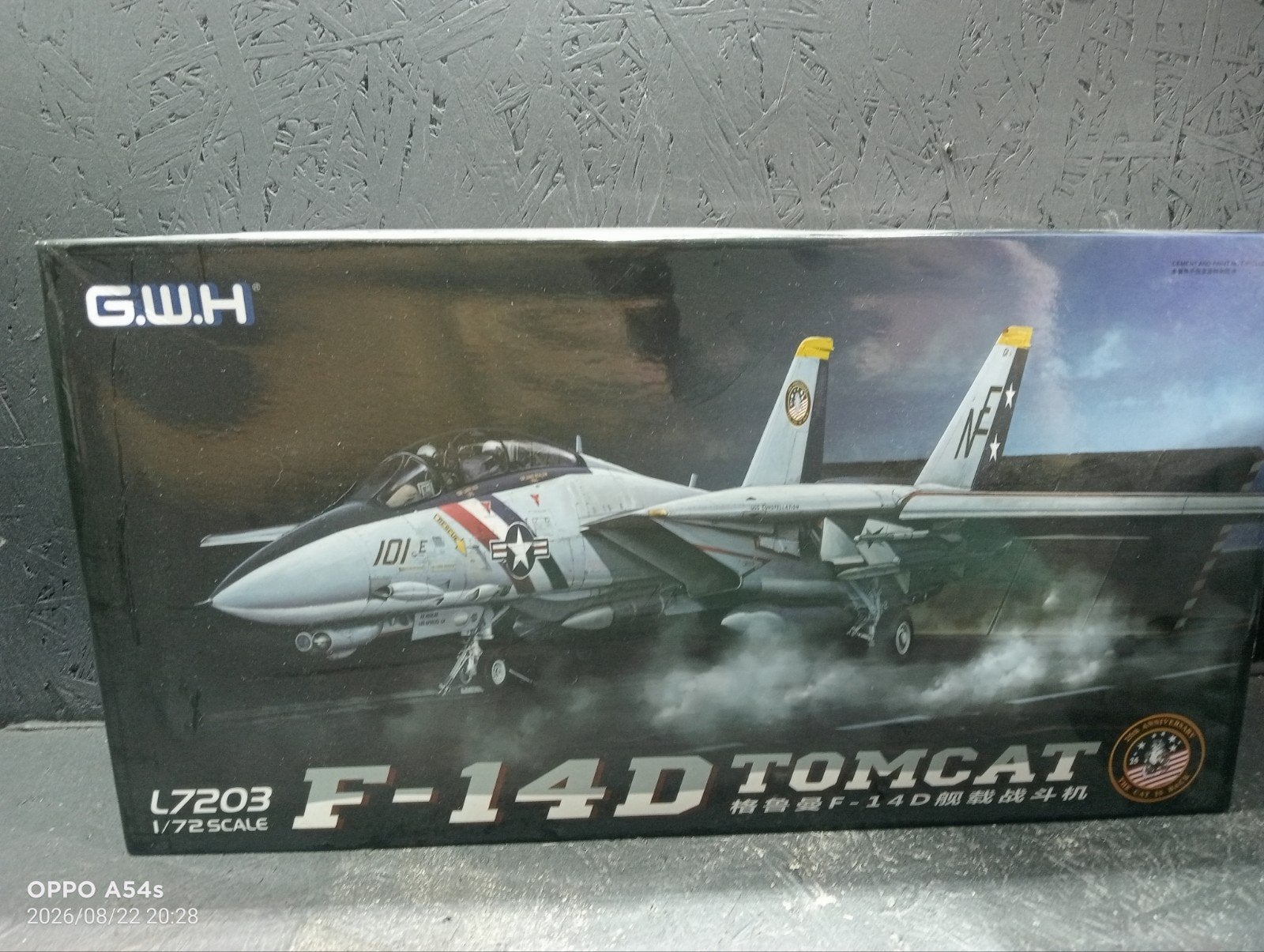 Grand Wall Hobby 1:72 Grumman F-14D Tomcat, Hobby & Loisirs créatifs, Modélisme | Avions & Hélicoptères, Enlèvement ou Envoi