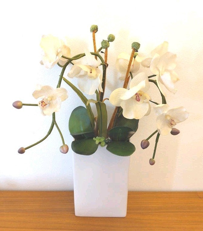 Composition florale d'orchidées blanches en pot, Blanc, Enlèvement ou Envoi, Intérieur, Arrangement floral