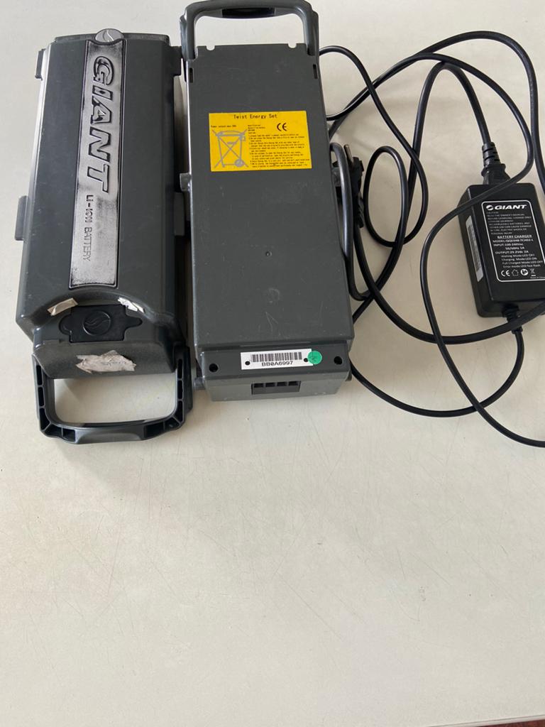 Batterijen  Giant 2 stuks plus oplader, Enlèvement, Comme neuf