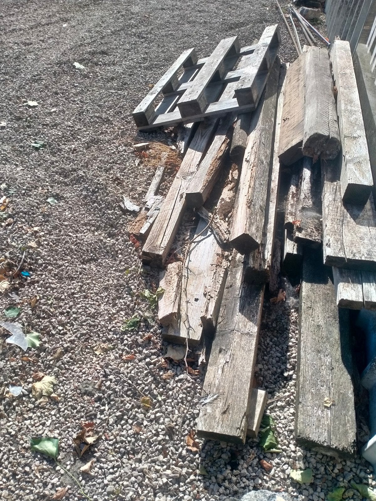 gratis hout, Ophalen