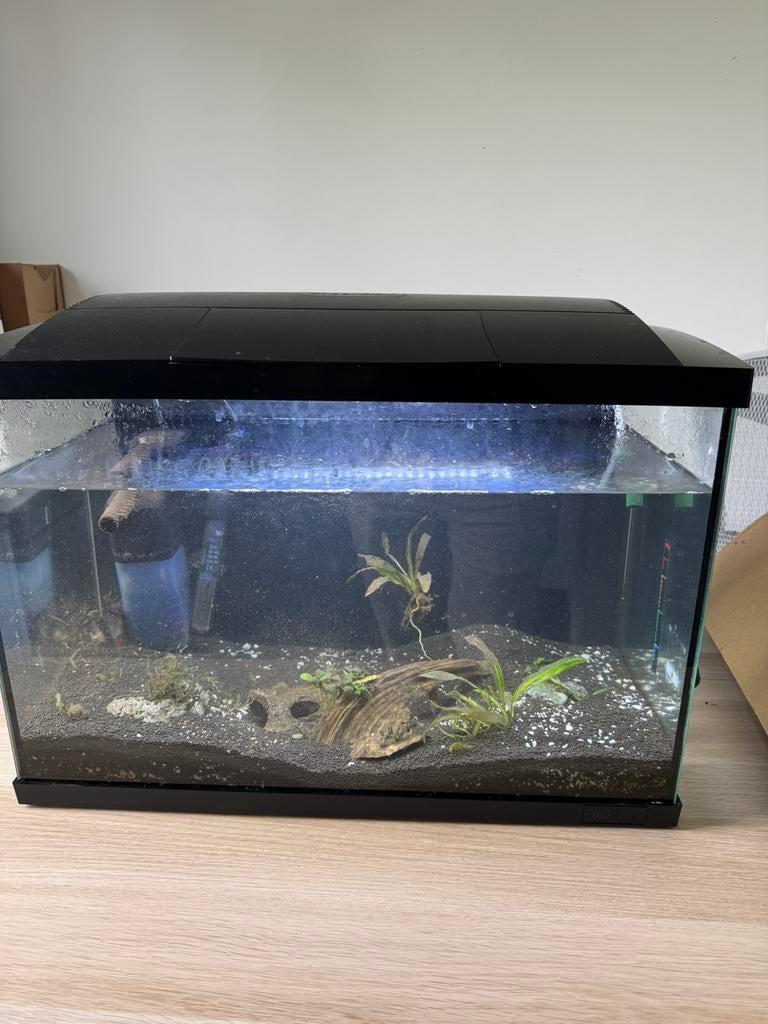 60L Superfish aquarium + alle toebehoren, Dieren en Toebehoren, Ophalen, Gebruikt, Verwarming, Aquariummeubel