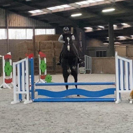 Chique 4 jarige ruin ! eventueel leasing, Dieren en Toebehoren, Paarden, Ruin, Zadelmak