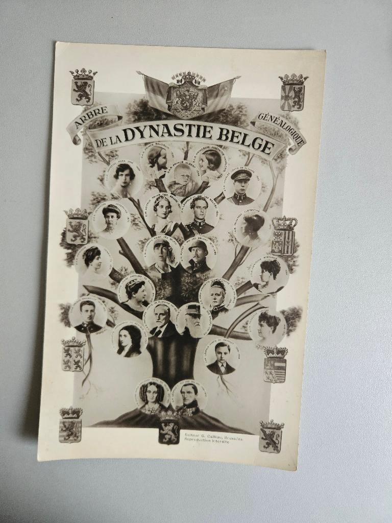 Fotokaart Belgische Dynastie  Stamboom jaren 30, Foto, Ophalen of Verzenden, Zo goed als nieuw, Voor 1940