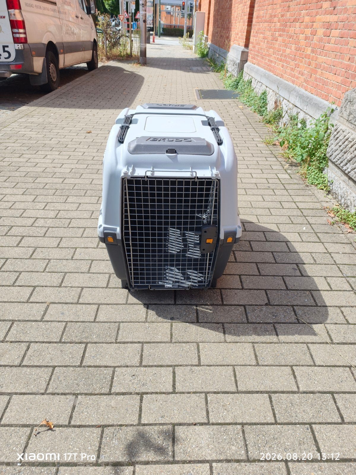 Cage à chien, Animaux & Accessoires, Maisons pour chiens, Enlèvement