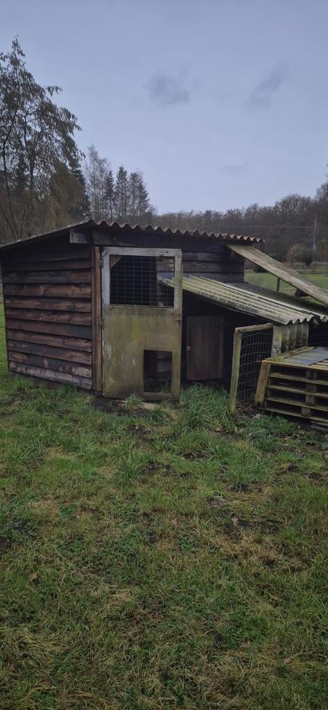 Dierenhok, Jardin & Terrasse, Abris de jardin, Enlèvement ou Envoi