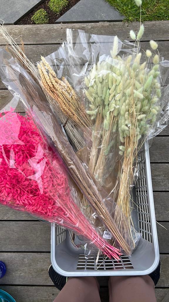 Pakket droogbloemen, Ophalen, Nieuw