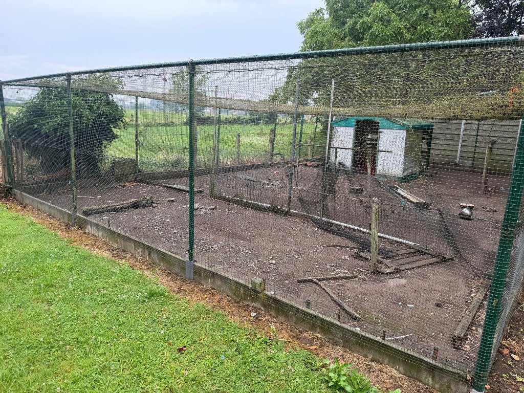 Buiten volière, Ophalen, Gebruikt, Volière