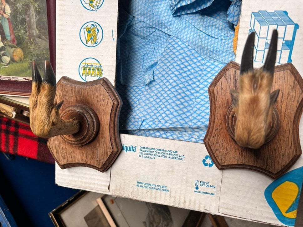 Reliques de chasse en bon état, Enlèvement ou Envoi