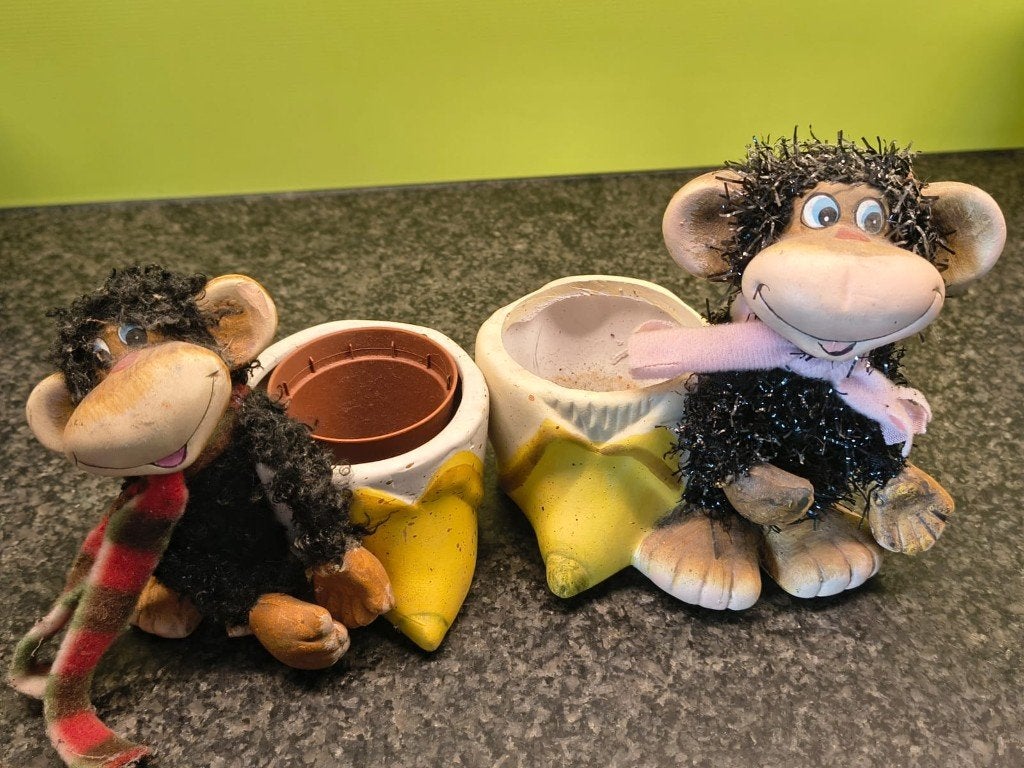 Bloempotjes Aapjes, Moins de 25 cm, Enlèvement, Utilisé, Intérieur