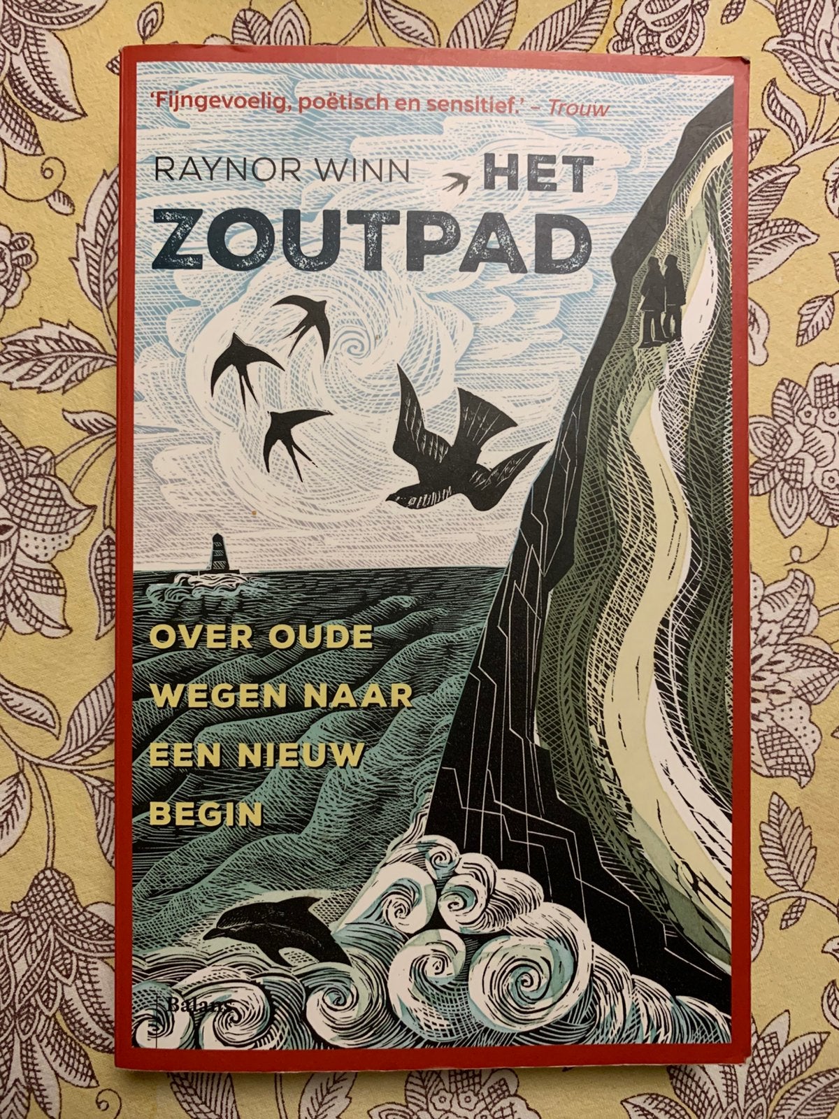 het zoutpad - raynor winn, Boeken, Ophalen