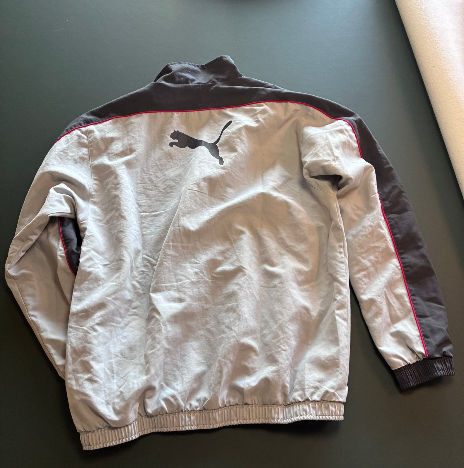 Gilet Puma, Vêtements | Hommes, Enlèvement ou Envoi, Porté, Bleu