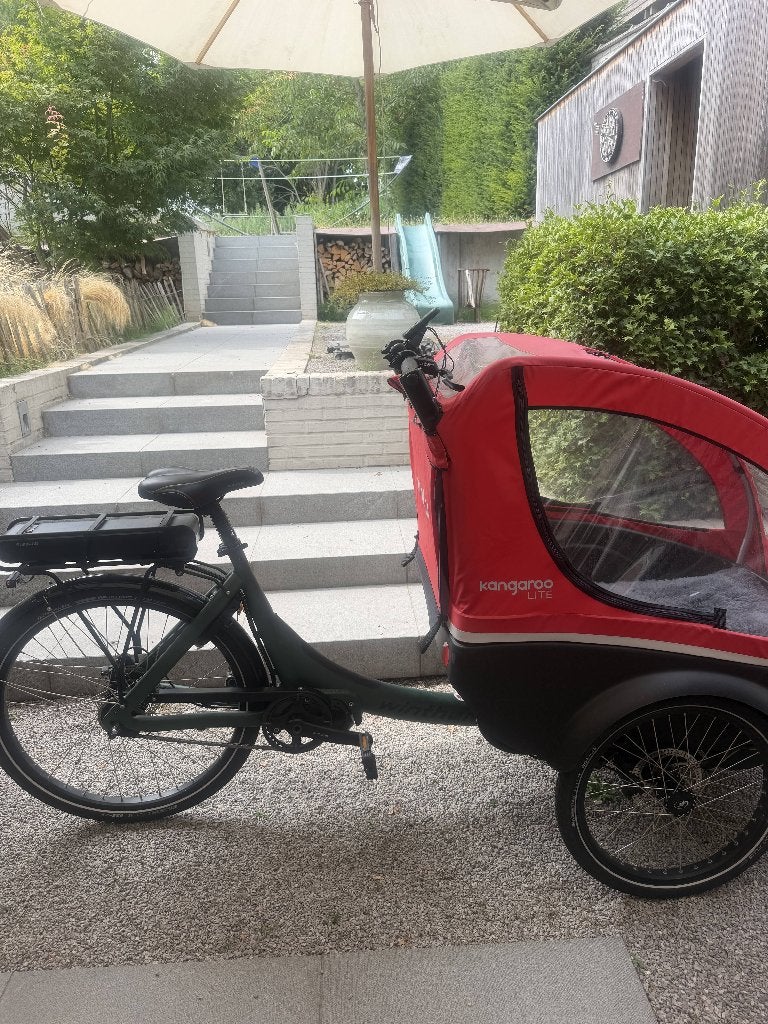 Fietsen / Bakfietsen en driewielers, Ophalen of Verzenden, Zo goed als nieuw, 50 km per accu of meer, Overige merken