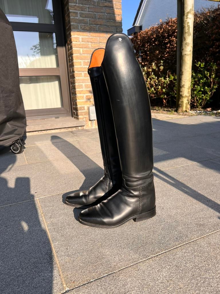 Dressuurlaarzen Petrie, Dieren en Toebehoren, Ophalen, Dressuur, Dames, Schoeisel