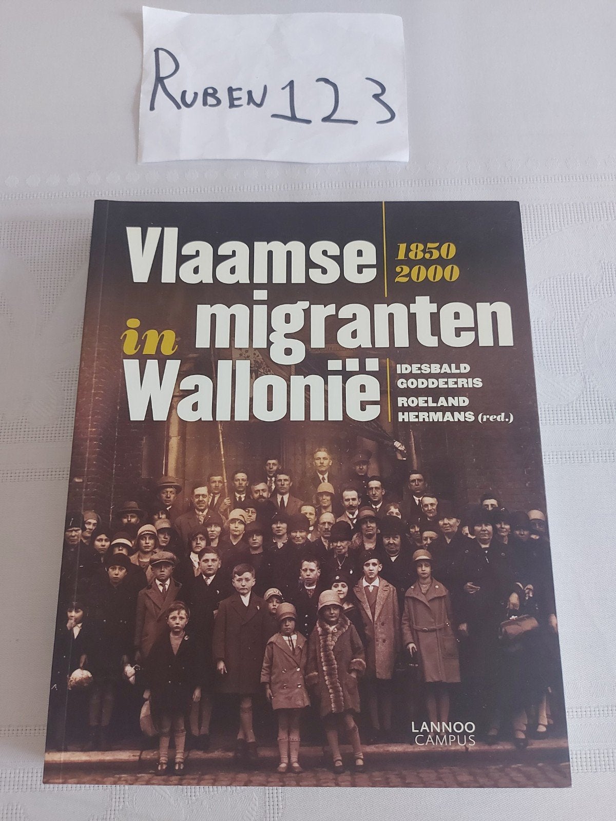 I. Goddeeris - Vlaamse migranten in Wallonie, Boeken, Ophalen of Verzenden, I. Goddeeris