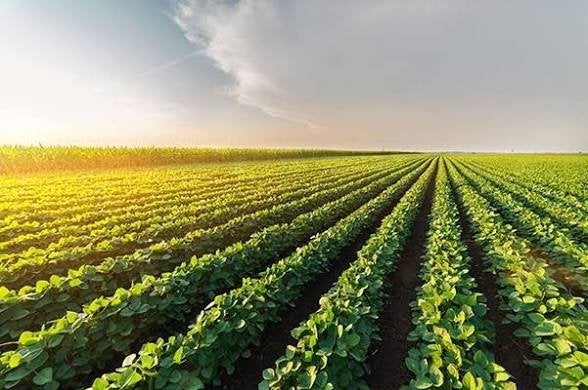 op zoek naar landbouwgrond, Immo, Gronden en Bouwgronden, 1500 m² of meer
