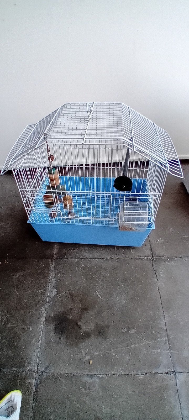 Cages a vendre., Ophalen