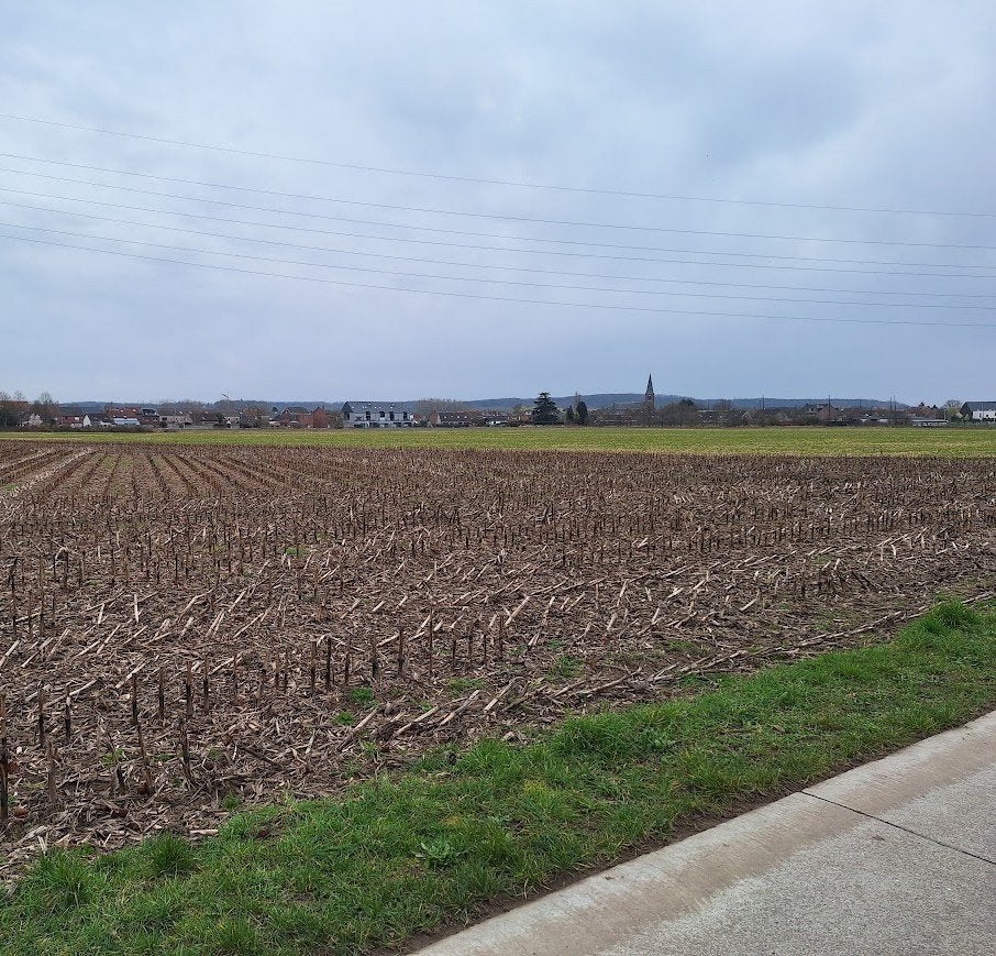 Landbouwgrond, Immo, Gronden en Bouwgronden, Leuven, Verkoop zonder makelaar, 200 tot 500 m²