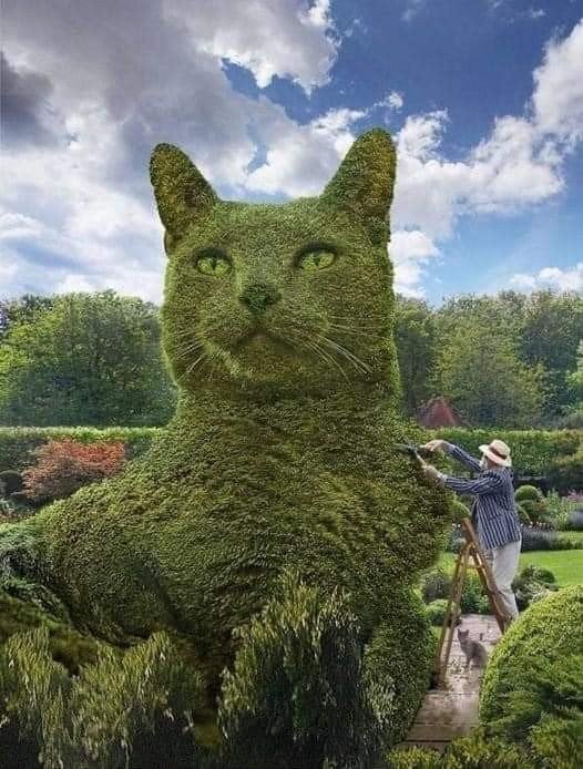 jardinier