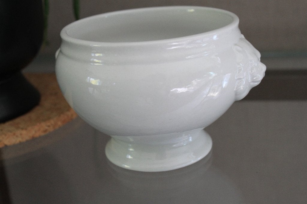 Bols tête de lion, Enlèvement ou Envoi, Comme neuf, Classique, Porcelaine