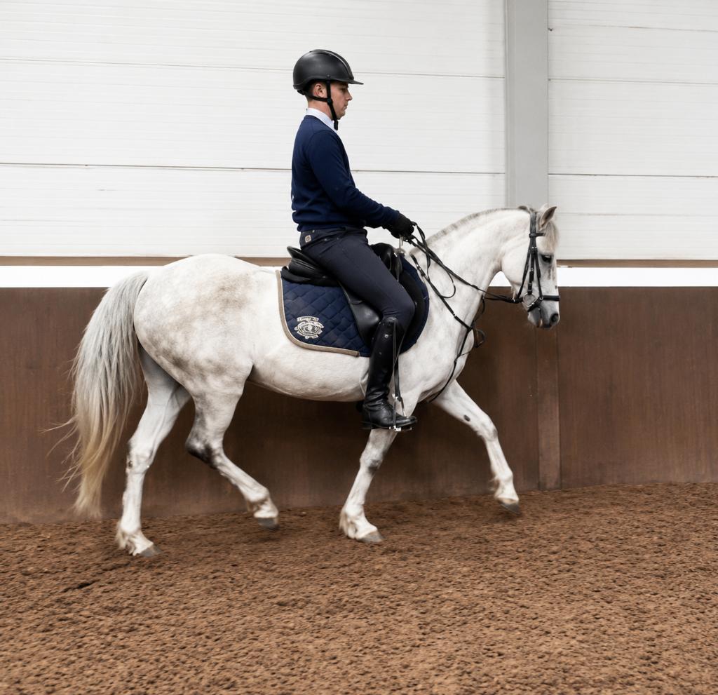 Pony Ciska VHB, Dieren en Toebehoren, Niet van toepassing, C pony (1.27m tot 1.37m), 11 jaar of ouder, Recreatiepony